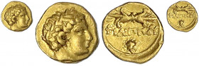 Makedonien
Philipp II. 359-336 v. Chr
1/12 Stater 340/336 v. Chr Pella. Kopf des Apollo r./Blitzbündel über Löwenkopf. 0,72 g.
sehr schön. Le Rider...