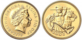 Grossbritannien
Elisabeth II., seit 1952
1 Pfund (Sovereign) 2005 Drachentöter. 7,32 g. fein.
Polierte Platte. Seaby SD6. Krause/Mishler 1065.