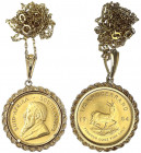 Südafrika
Republik, seit 1961
1/2 Krügerrand 1984, in schöner Goldfassung (585/1000, Münze nur eingeklemmt) und mit Goldkette (585/1000). Gesamtgewi...
