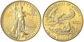 Vereinigte Staaten von Amerika
Unabhängigkeit, seit 1776
50 Dollars (1 Unze Feingold) 1990. Liberty. 33,93 g. 917/1000.
Stempelglanz. Krause/Mishle...