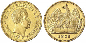 Brandenburg-Preußen
Friedrich Wilhelm III., 1797-1840
Doppelfriedrich d`or 1831 A, Berlin. 13,32 g.
vorzüglich/Stempelglanz, selten in dieser Erhal...