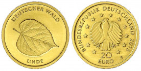 Euro, ab 2002
20 Euro Deutscher Wald 2015 F, Linde. 1/8 Unze Feingold. Mit Zertifikat.
Stempelglanz. Jaeger 598.