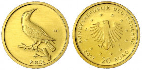 Euro, ab 2002
20 Euro 2017 G, Heimische Vögel - Pirol. In Kapsel, mit Zertifikat. 1/8 Unze Feingold.
Stempelglanz. Jaeger 619.