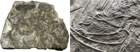 Fossilien
Versteinerte Seelilien (Seirocrinus subangularis, MILLER 1821). Untere Jura (Lias), Unteres Toarcium, ca. 170 Millionen Jahre alt. Fundort ...