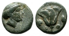 Caria, Rhodes. ca.404-385 BC. Æ (10mm, 1.23g). Head of nymph of Rhodes right. / P - O. Rose with buds to left and right. BMC 327-33; HGC 6, 1476.