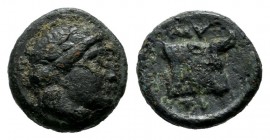 Lesbos, Mytilene. ca.400-350 BC. Æ (8mm, 0.64g). Laureate head of Apollo right. / MYTI. Head and neck of bull right, head slightly facing. BMC 23-4; H...