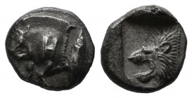 Mysia, Kyzikos. ca.450-500 BC. AR Diobol (9mm, 1.07g). Forepart of boar left; H on shoulder; to right, tunny upward. / Head of lion left within incuse...
