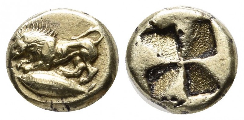 Mysia, Kyzikos. ca.500-450 BC. EL Hekte – Sixth Stater (10mm, 1.92g). Lion at ba...