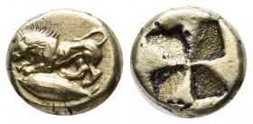 Mysia, Kyzikos. ca.500-450 BC. EL Hekte – Sixth Stater (10mm, 1.92g). Lion at bay left on tunny left. / Quadripartite incuse square. Cf. von Fritze I ...