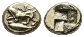 Mysia, Kyzikos. ca.500-450 BC. Fourrée Hekte (11mm, 2.12g). Lioness or panther at bay left on tunny left / Quadripartite incuse square. Cf. von Fritze...