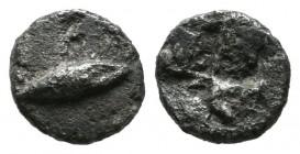 Mysia, Kyzikos. ca.600-550 BC. AR Hemiobol (9mm, 0.36g). Tunny fish left / Quadripartite incuse square. Von Fritze II 5; SNG France –; SNG von Aulock ...