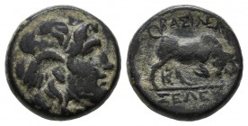 Seleukid Kingdom. Seleukos I Nikator, 312-281 BC. Æ (13mm, 2.65g). Sardes mint. Winged head of Medusa right / BAΣIΛEΩΣ ΣΕΛΕΥΚOY, bull butting right, Σ...