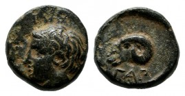 Troas, Gargara. 4th century BC. Æ (9mm, 0.91g). Laureate head of Apollo left / ΓAP. Head of ram right within incuse circle. SNG von Aulock -; SNG Cope...
