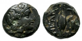 Troas, Neandria. 4th century BC. Æ (10mm, 1.32g). Laureate head of Apollo right. / NEAN. Grain ear; grape bunch to right. SNG Ashmolean 1175; SNG Cope...