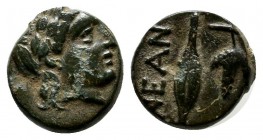 Troas, Neandria. ca.400-300BC. Æ (9mm, 0.99g). Laureate head of Apollo right. / NEAN. Corn and grape cluster. SNG Tübingen 2652.