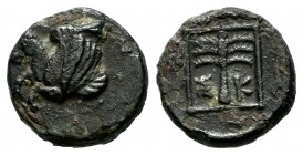 Troas, Skepsis. ca.400-310 BC. Æ (11mm, 1.23g). Rhyton in the form of forepart of Pegasos right. / Fir tree within linear square. SNG Copenhagen 477.