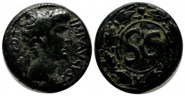 Seleucis and Pieria, Antiochia ad Orontem. Augustus 27 BC-14 AD. Æ Dupondius (26mm, 17.75g). IMP AVGVST TR POT. Laureate head of Augustus to right. / ...