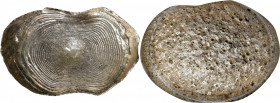 (t) CHINA. Yuansi Changyuankezi. Fine Silk Oval Ingots. Silver 4 Tael Ingot, ND. Graded MS63 by GBCA.

BMC-Class LXXXV Group D # 1215. Weight: 143.6...