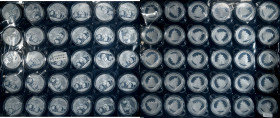 (t) CHINA. Group of 10 Yuan (30 Pieces), 2013. Panda Series. Average Grade: GEM PROOF.

KM-unlisted; PAN-589A. Sold in original mint packaging.

E...