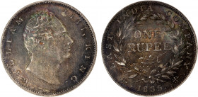 BRITISH INDIA: William IV, 1830-1837, AR rupee, 1835(c), KM-450.7, 'R.S.' incused on truncation, thin letters variety, a lovely toned mint state examp...