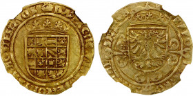 BRABANT: Charles V, 1506-1555, AV ½ real d'or (3.49g), Antwerp, ND, Fr-60, NGC graded AU53.
Estimate: $600-800
