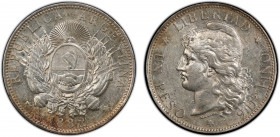 ARGENTINA: Republic, AR peso, 1882, KM-29, lustrous, a touch of peripheral toning, PCGS graded AU55.
Estimate: $240-300
