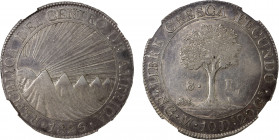 CENTRAL AMERICAN REPUBLIC: AR 8 reales, Nueva Guatemala mint, 1826-NG, KM-4, assayer M, CRE(S/C)CA variety, a wonderful example, seldom encountered in...