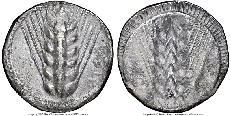 LUCANIA. Metapontum. Ca. 510-470 BC. AR stater (24mm, 6.96 gm, 12h). NGC (photo-...