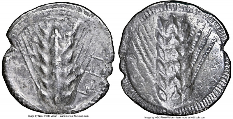 LUCANIA. Metapontum. Ca. 510-470 BC. AR stater (24mm, 6.92 gm, 12h). NGC (photo-...