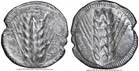 LUCANIA. Metapontum. Ca. 510-470 BC. AR stater (24mm, 6.92 gm, 12h). NGC (photo-certificate) Choice VF 4/5 - 2/5. MET (on right, retrograde upward), b...