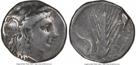 LUCANIA. Metapontum. Ca. 400-330 BC. AR stater (20mm, 7.41 gm, 5h). NGC Choice Fine 5/5 - 3/5. Head of Demeter right, wreathed with grain; barley corn...