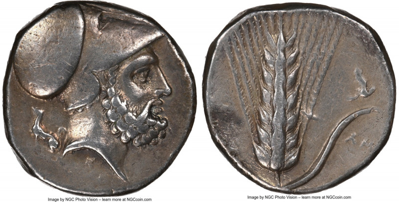 LUCANIA. Metapontum. Ca. 340-330 BC. AR stater (21mm, 7.79 gm, 3h). NGC Choice V...