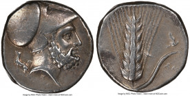 LUCANIA. Metapontum. Ca. 340-330 BC. AR stater (21mm, 7.79 gm, 3h). NGC Choice VF 4/5 - 4/5, Fine Style. S- and Ami-, magistrate. Head of Leucippus ri...