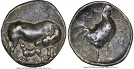 EUBOEAN ISLANDS. Carystus. Ca. 300-250 BC. AR stater (24mm, 7.69 gm, 7h). NGC Choice VF 5/5 - 3/5. Cow standing right, head left, nuzzling calf suckli...