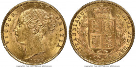 Victoria gold "Shield" Sovereign 1885-S MS62 NGC, Sydney mint, KM6. AGW 0.2355 oz. 

HID09801242017

© 2022 Heritage Auctions | All Rights Reserved