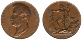 Historiepenningen - 1827 - Medal 'Hulde aan Willem I voor het graven van het kanaal van Gent naar Terneuzen' by J. Braemt (Dirks 297) - Obv. Bust left...