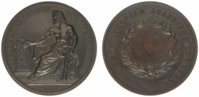Historiepenningen - 1880 - Medal 'Swammerdam-medaille van het Genootschap ter bevordering van natuur-, genees- en heelkunde te Amsterdam' by M.C. de V...
