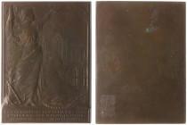 Historiepenningen - 1898 - Eenzijdige plaquette 'Inhuldiging Wilhelmina te Amsterdam 6 september 1898' door J.C. Wienecke (KB.356) - VZ Stedemaagd met...