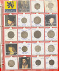 Dutch Provincial in albums - Small collection coins Vlaanderen medieval/Spanish period Lodewijk van Male - Karel II including Botdragers, Groten, Bras...
