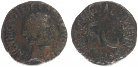 Augustus (27 BC - 14 AD) - AE As (Rome 16, 11.90 g) – CAESAR AVGVSTVS TRIBVNIC POTEST, bare head right / C GALLIVS LVPERCVS III VIR A A A F F, around ...