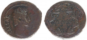 Augustus (27 BC - 14 AD) - AE As (Asia Minor 25 BC, Ephesus?, 11.55 g) – CAESAR, bare head right / AVGVSTVS within laurel wreath (RPC I 2235; RIC I 48...