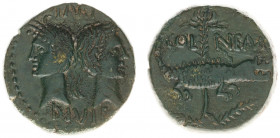 Agrippa (27-12 BC) - Gaul / Nemausus - Augustus with Agrippa - AE As / Dupondius (ca. AD 10-14, 10.26 g) - IMP DIVI F Heads of Agrippa, wearing combin...