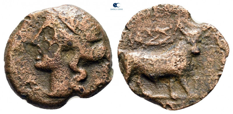 Gaul. Massalia circa 350-300 BC. 
Bronze Æ

14 mm, 1,65 g



fine