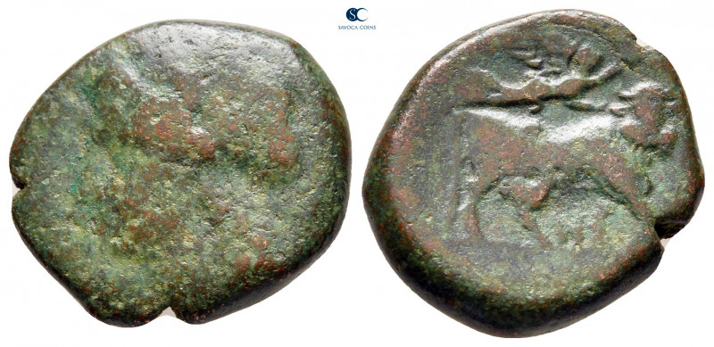 Campania. Neapolis circa 270-225 BC. 
Bronze Æ

19 mm, 5,85 g



fine