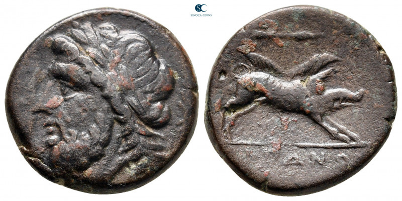 Apulia. Arpi circa 300-200 BC. 
Bronze Æ

21 mm, 6,80 g



very fine