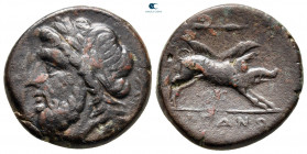 Apulia. Arpi circa 300-200 BC. Bronze Æ