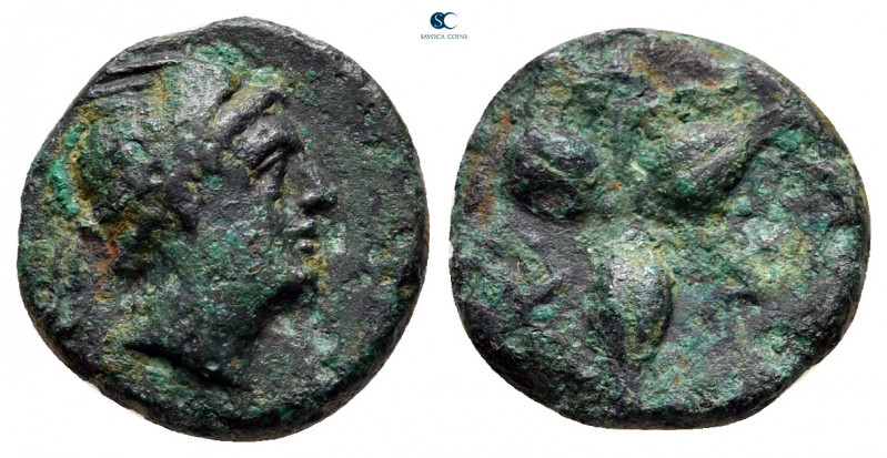 Lucania. Metapontion circa 300-250 BC. 
Bronze Æ

13 mm, 1,84 g



very f...