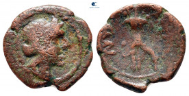 Lucania. Paestum circa 218-201 BC. Bronze Æ