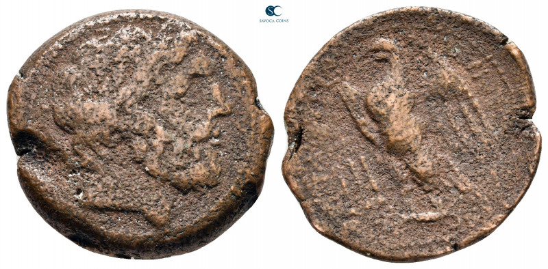 Bruttium. The Brettii circa 214-211 BC. 
Unit Æ

22 mm, 7,05 g



fine