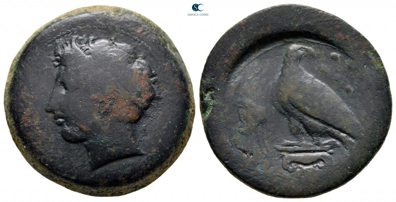 Sicily. Akragas circa 400-380 BC. 
Hemilitron Æ

27 mm, 17,29 g



nearly...